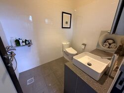 Spring Park Estate (D16), Terrace #575077211